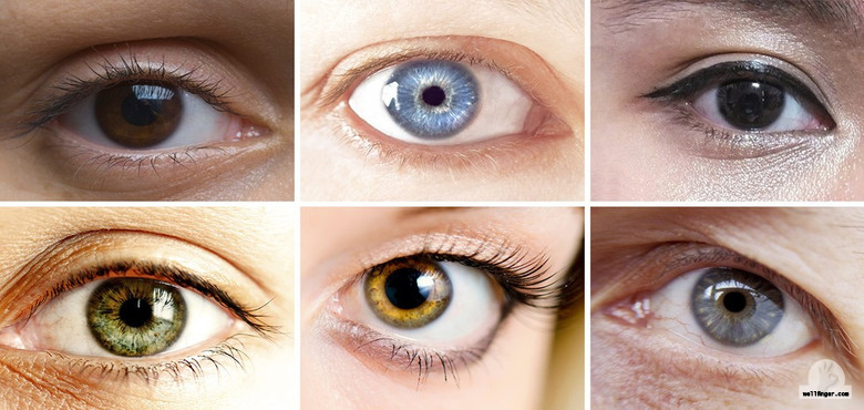 What does your eye color reveal about your personality?